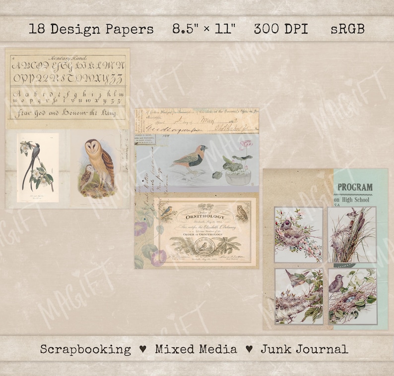 Vintage Ephemera Paper Pack - Graceful Birds for Junk Journal ...