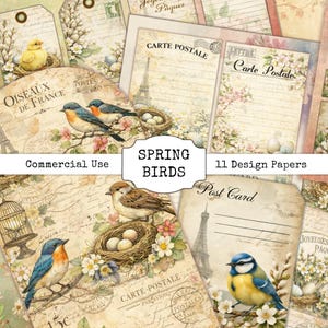 Puede incluir: Una colección de papeles de diseño de estilo vintage con temática primaveral. Los papeles presentan ilustraciones de pájaros, nidos, flores y la Torre Eiffel. El texto "Spring Birds", "Commercial Use" y "11 Design Papers" es visible.