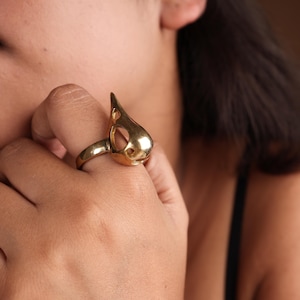 Brass Gothic Bird Skull Ring, Antique Gold Raven Head Design, Animal Skull Ring, Vulture Skull Ring, Bird Skull Ring, Raven Skull Ring,