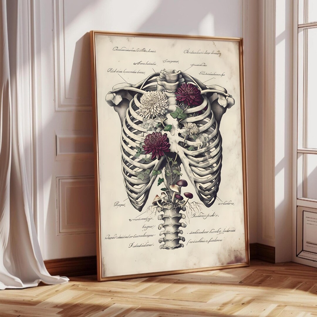Vintage Anatomical Ribcage Wall Art Print – Skeleton With Flowers ...