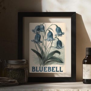 Vintage Bluebell Flower Rolled Poster Botanical Art Print Floral Decor Home Wall Art Nature Gift Eco-Friendly Decoration