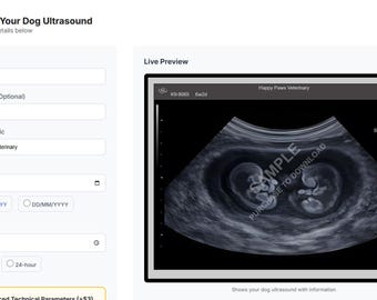 Cat Scan Generator • Custom Cat Ultrasound Art • Funny Pet Pregnancy Prank Digital Download