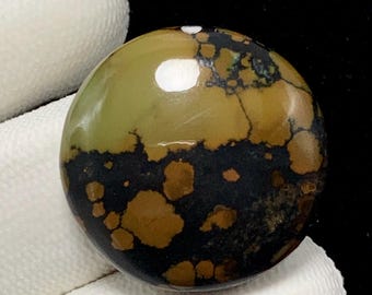Bamboe bergturkoois, ronde cabochon, 24 x 7 mm, 31 CTS, prachtige cabochon, #A-1276