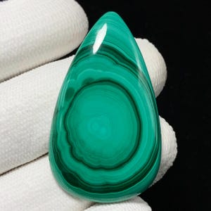 Peut inclure: Une pierre de malachite polie en forme de goutte d'eau. La pierre présente des bandes concentriques de vert foncé et clair, créant un motif tourbillonnant. La surface est lisse et réfléchissante, avec une finition très brillante. La pierre est tenue sur un fond blanc.