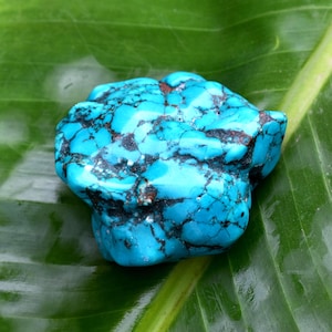 May include: A turquoise gemstone with dark veining, set against a large green leaf. The stone has a textured surface and an irregular shape. The bright blue colour of the stone contrasts with the green of the leaf.