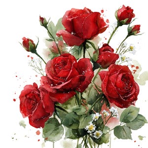 以下が含まれることがあります： 赤いバラのブーケの水彩画。緑の葉と小さな白い花が描かれています。バラは満開で、花びらには水滴が付いています。背景は白で、赤と緑のペンキの飛沫があります。