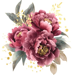 Burgundy Peonies Watercolor Clipart: Gold Accent Floral PNG (Set of 10 - Digital Download)