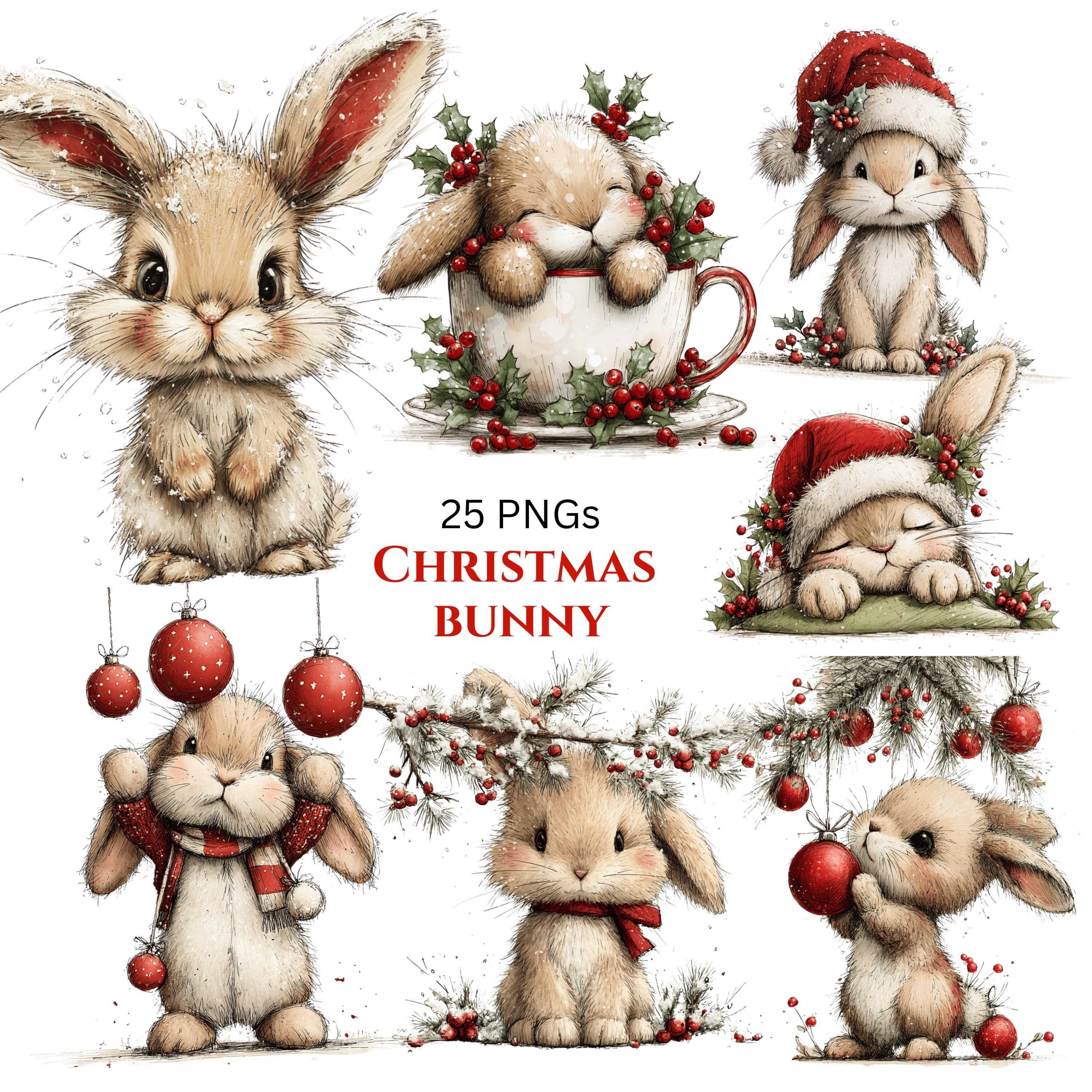 Conejos de navidad España