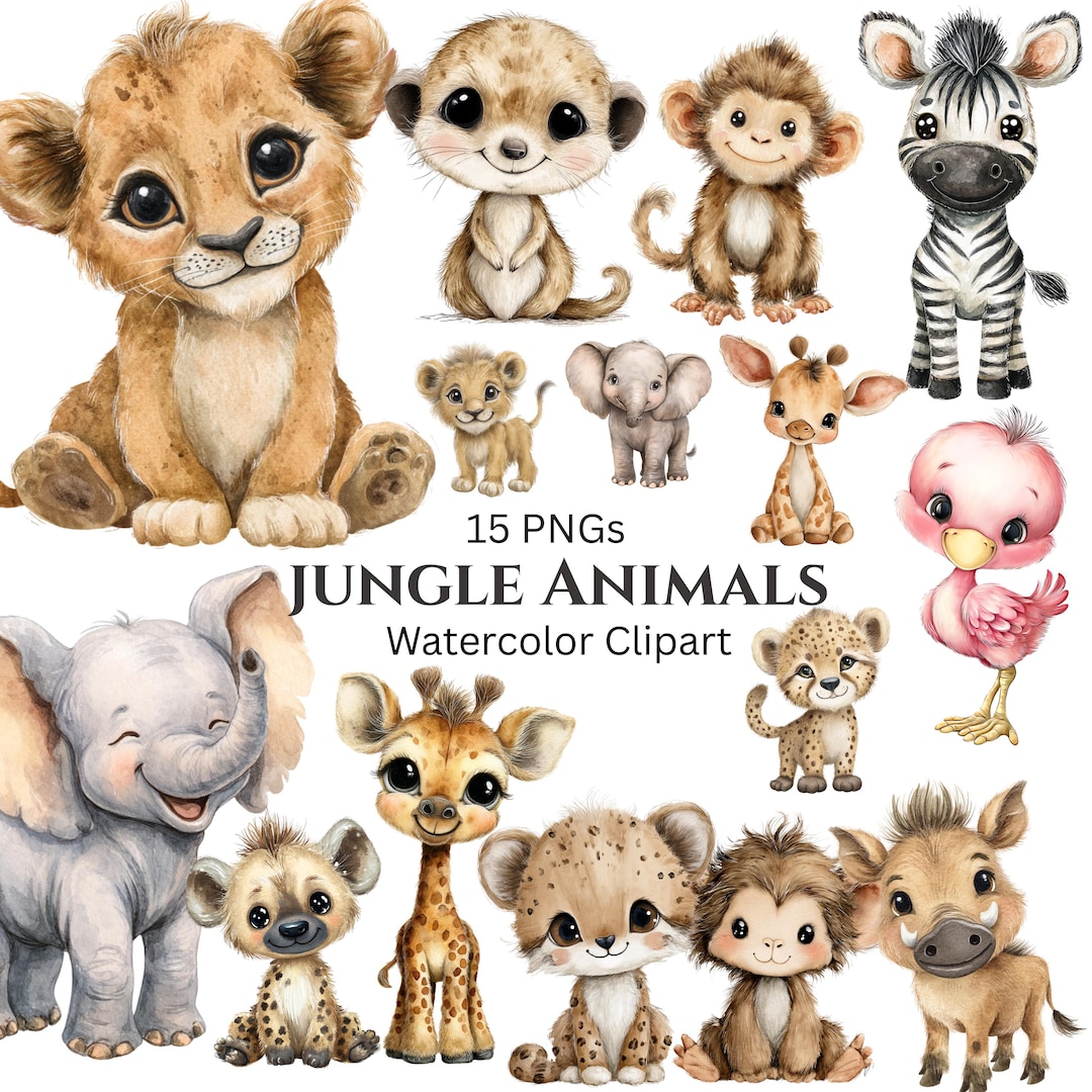 Cute Jungle Animals Clipart: Zoo Wild Animals PNG (digital Download ...