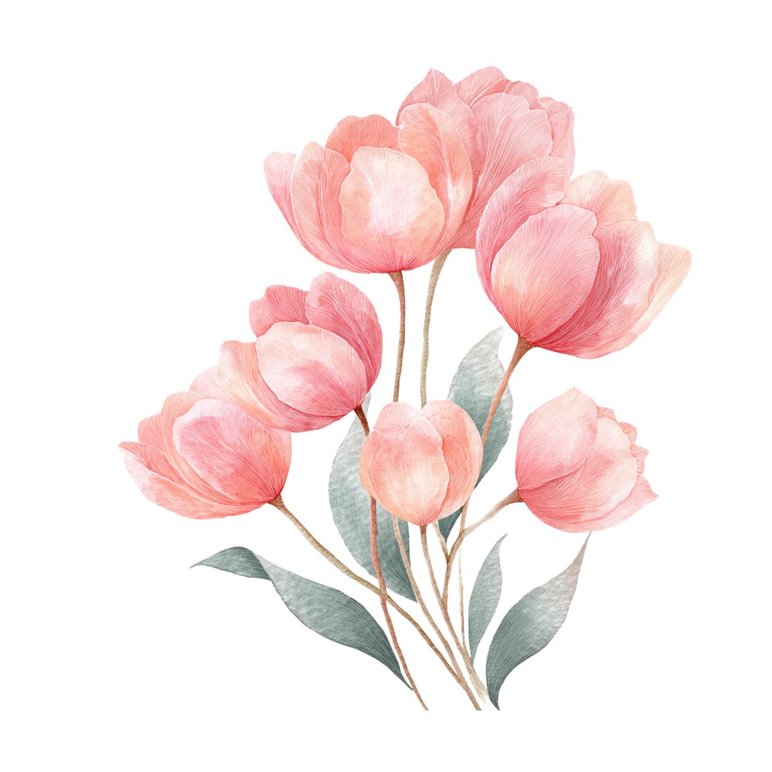 Watercolor Tulips Clipart, Watercolor Floral Clipart Png, Spring ...
