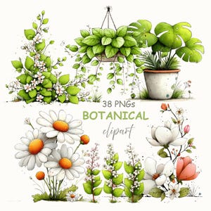 May include: A watercolour botanical clipart set with green plants, flowers, and foliage. Includes a hanging plant, potted plants, daisies, and other floral elements. The text "38 PNGs BOTANICAL clipart" is also included.