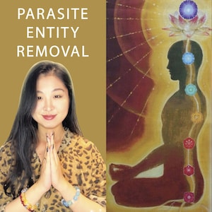 Parasite Entity Removal Dark Energy Clearing