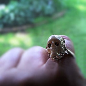 Puede incluir: Un anillo de calavera blanco con ojos rojos, usado en un dedo.