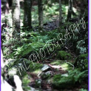 Printable North Carolina Mountains Digital Print