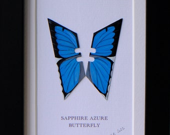 Sapphire Azure butterfly