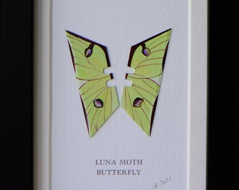 Luna Moth Butterfly, handpainted on blades