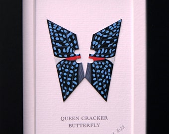 Queen cracker butterfly