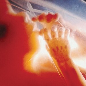 Puede incluir: Imagen de primer plano de un feto dentro del útero, dominada por tonos cálidos rojizos-anaranjados. La mano y el brazo del feto son visibles, con el saco amniótico translúcido que permite el paso de la luz. Una imagen impactante del desarrollo temprano.