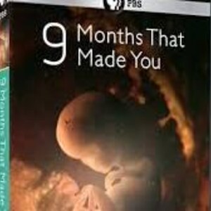 Puede incluir: Caja de DVD del documental de PBS "9 Months That Made You". La portada presenta una imagen en primer plano de un feto, con el título en texto blanco. El logotipo de PBS está en la esquina superior derecha.
