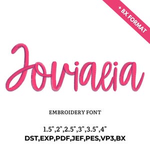 BX Cursive Machine Embroidery Font, Boho Cursive Embroidery Font, Handwritten Script Alphabet, Thin Signature Stitch Letters, 6 Sizes