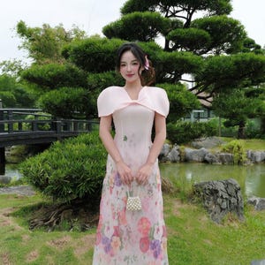 Blush Organza Ao Dai: Modern Vietnamese Dress - Lunar New Year