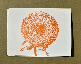 Orange Zinnia