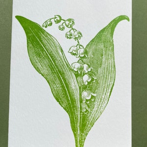 Lilly of the Valley