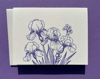 Purple Iris
