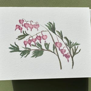 May include: A watercolor painting of a bleeding heart flower on a white card. The pink heart-shaped flowers hang from arching stems with green leaves. The card is on a green background.