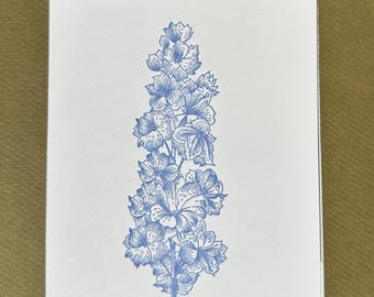 Blue Delphinium