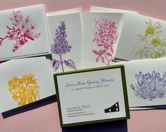 Even More Spring Flowers, boxed set of 6 cards