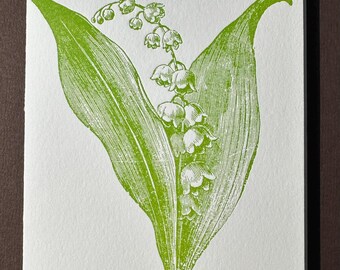 Lily of the Valley