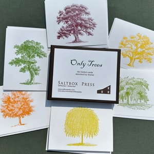 Only Trees, boxed set of 6 cards