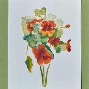 Nasturtium