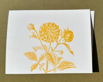 Yellow Dahlia