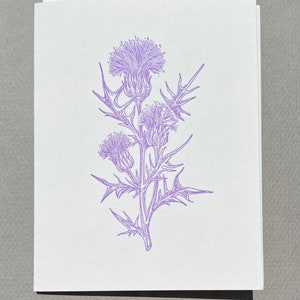 Thistle Stem