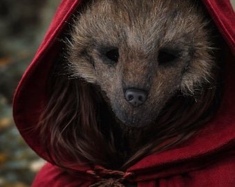 Wolf Mask – Little Red Riding Hood Inspired Beast Costume Headpiece
