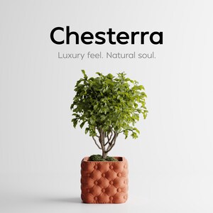 May include: A small, leafy green plant in a terracotta-colored, tufted square pot. The pot has a button-like design. The text "Chesterra" is above the text "Luxury feel. Natural soul."