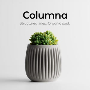 Könnte beinhalten: Ein grauer, gerippter Keramiktopf mit einer grünen Sukkulentenpflanze. Der Topf hat vertikale Linien und eine abgerundete Form. Der Text "Columnna" und "Structured lines. Organic soul." befinden sich über dem Topf.