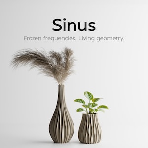 Könnte beinhalten: Zwei beige Vasen mit vertikaler Rippenstruktur. Die größere Vase enthält flauschiges braunes Pampasgras, während die kleinere Vase eine kleine grüne Pflanze enthält. Der Text "Sinus" und "Frozen frequencies. Living geometry." ist über den Vasen zu sehen.