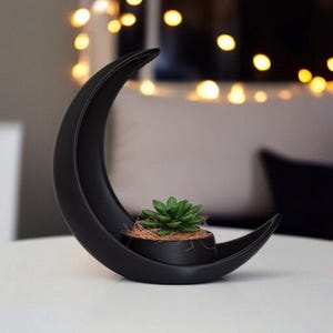 May include: A black ceramic crescent moon-shaped planter holding a small green succulent. The planter has a smooth, matte finish and sits on a white surface. The succulent is surrounded by brown mulch.