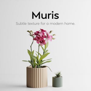 Könnte beinhalten: Eine dekorative Anordnung mit einer Topf-Orchidee mit tiefrosa Blüten und grünen Blättern. Die Orchidee befindet sich in einem beigefarbenen, geriffelten zylindrischen Topf. Ein kleinerer, grüner, geriffelter Topf mit einer Sukkulente ist ebenfalls vorhanden. Der Text "Muris" und "Subtle texture for a modern home" werden angezeigt.