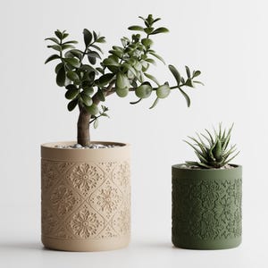 Op de afbeelding: Twee decoratieve plantenpotten met gedetailleerde bloempatronen. De grotere pot is beige en bevat een jadeplant. De kleinere pot is groen en bevat een vetplant. Beide potten zijn cilindrisch.