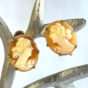 May include: A pair of oval cameo earrings. Each earring features a profile of a woman carved in ivory against a warm, amber-colored background. The earrings are set in a gold-toned metal frame.