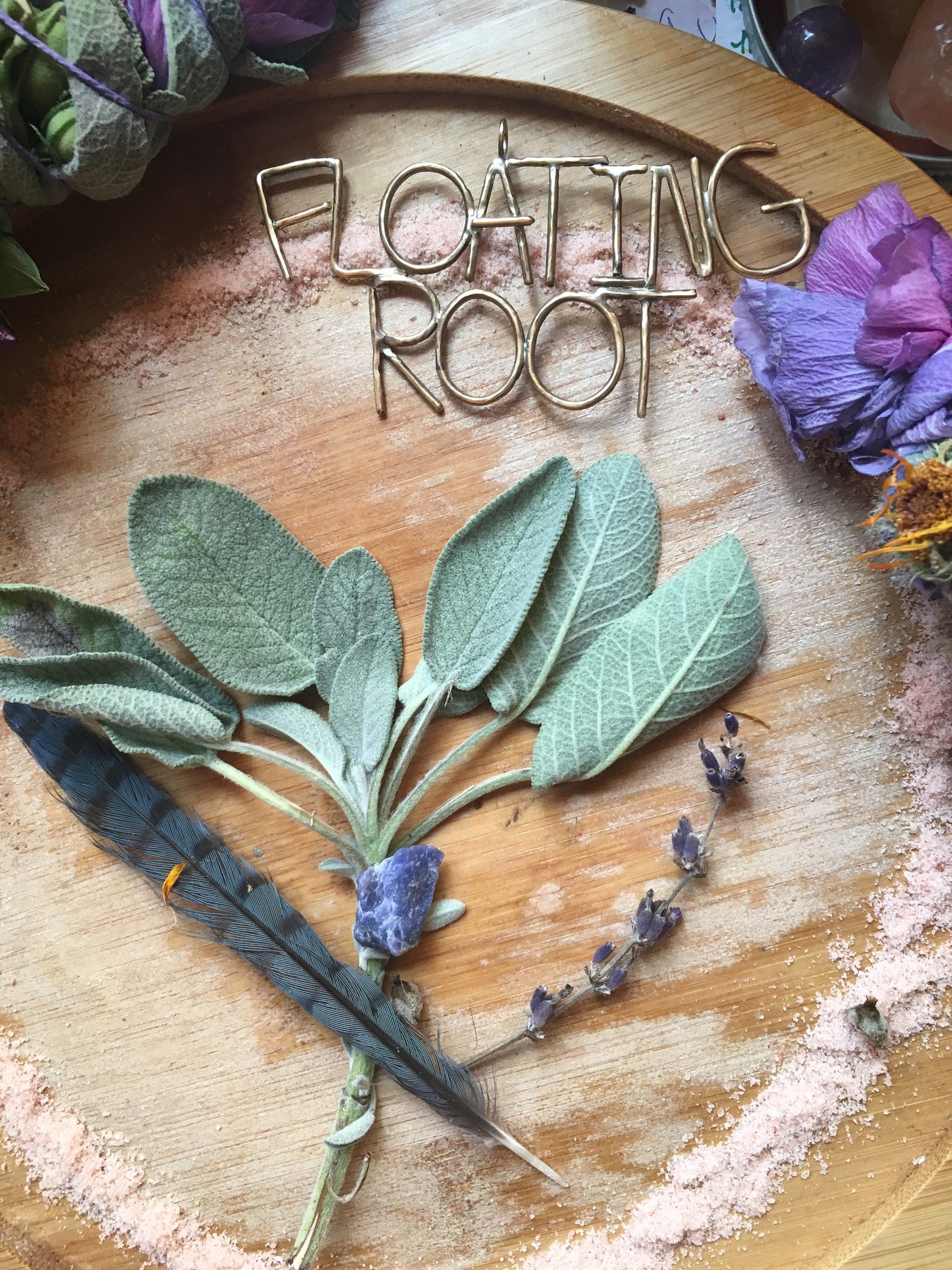 Lucid PLANT READING Etsy