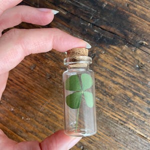 Personliga bröllopspresenter – Mini fyrklöverburkar – Lyckosamma bröllopsminnen – Handgjorda tackpresenter – blommiga placeringskort