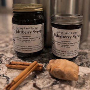Elderberry Syrup