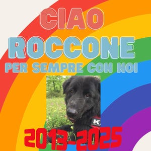 carte commémorative numérique pour chiens