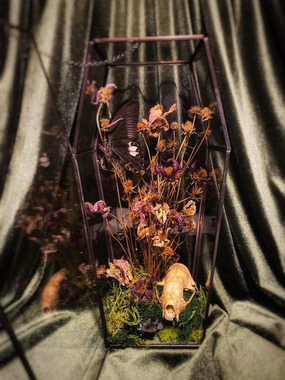 骨と花の聖遺物庫 - Etsy 日本 骨と花の聖遺物庫 - Etsy 日本