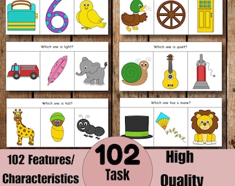 Features/Characteristics 102 High Quality Task Cards, Speech Therapy, ABA, ESL, Special Education, Receptive Language, Instant Download, PDF